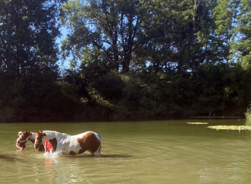 mit Pferden im Weiher zwei braun-weiß gescheckte Pferde und zwei Frauen baden im Weiher.