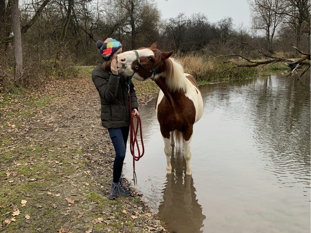 Mädchen und braun-weiß geschecktes Pferd im Herbst an einem Teich. Das Pferd steht mit den Hufen im Wasser und bekommt ein Leckerli.