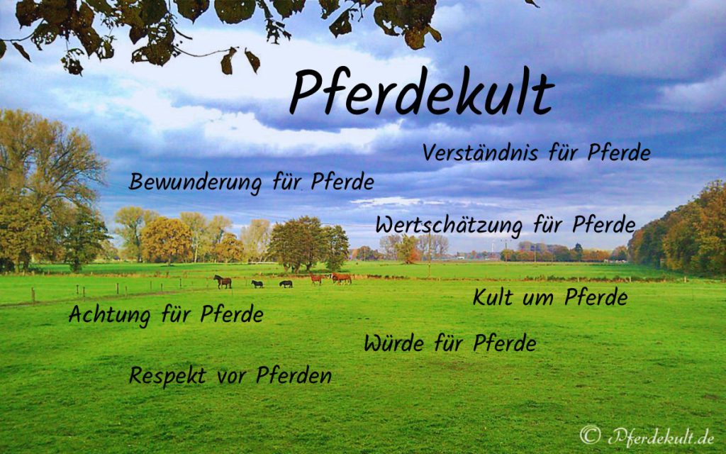 grüne Weide mit mehreren dunkelbraunen und fuchsfarbenen Pferden, Bäume und wolkenbedeckter Himmel.