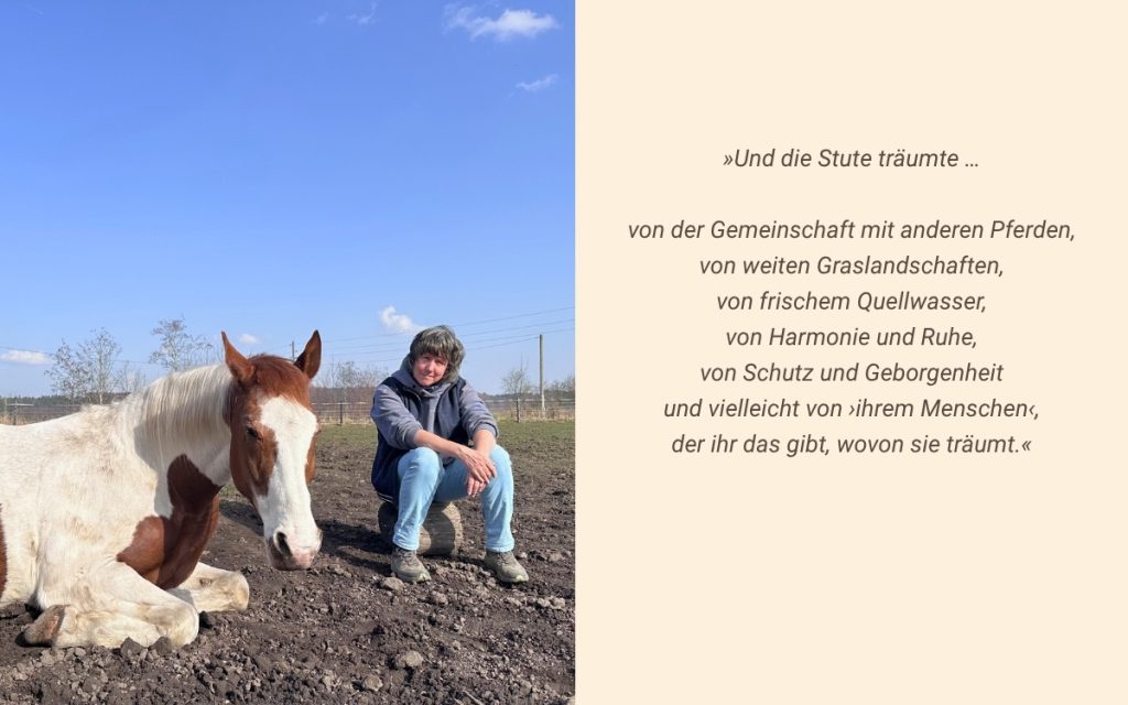 Pferdeträume Spruch linkes Foto: ein liegendes braun-weiß geschecktes Pferd, daneben sitzt eine Frau in Jeans und blauem Oberteil.