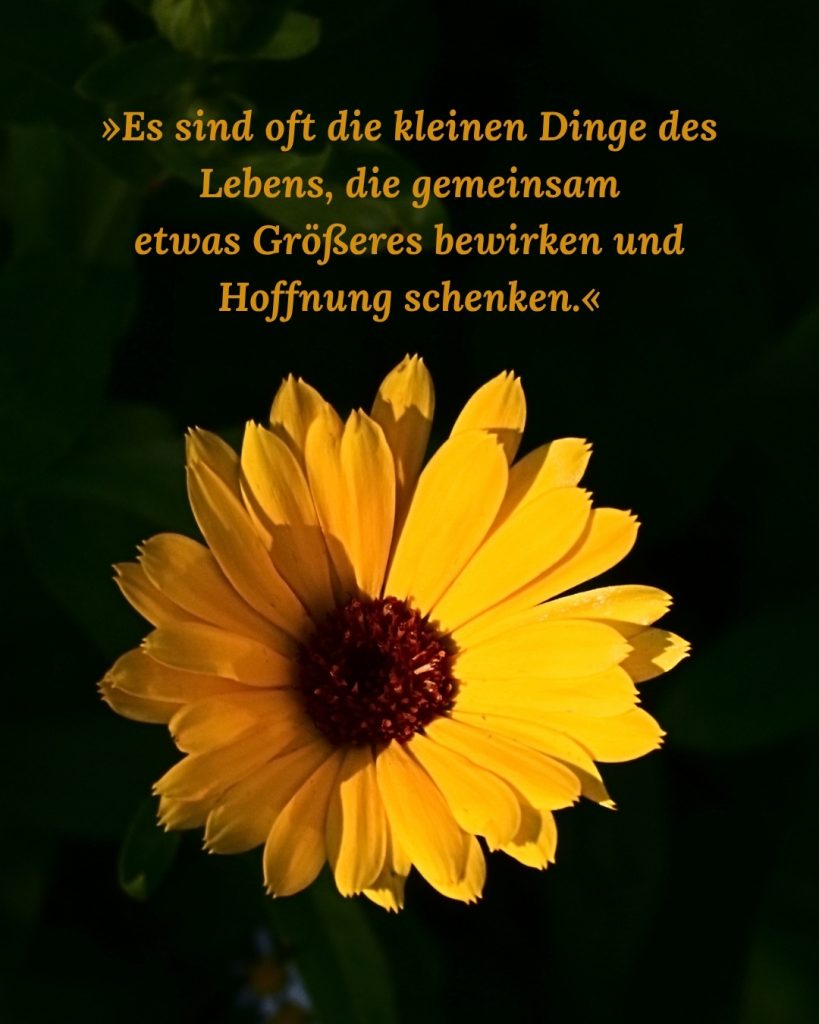gelbe Ringelblume vor dunklem Hintergrund mit Spruch