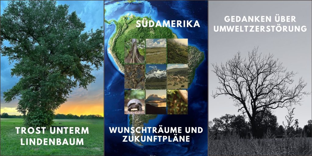 linkes Foto: Lindenbaum auf Wiese mit Abendrot, mittleres Bild: Karte und Bilder von Südamerika, rechtes Bild: abgestorbener Baum
