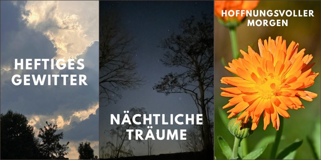 linkes Bild: Gewitterwolken, mittleres Bild: Sternenhimmel hinter zwei Bäumen, rechtes Bild: orangefarbene Ringelblumenblüte 