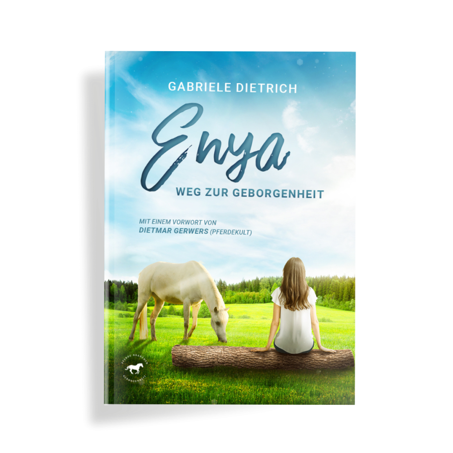 Buchcover von »Enya - Weg zur Geborgenheit«