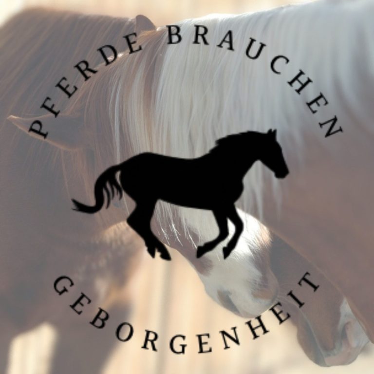 Schwarzes, galoppierendes Pferd mit Schriftzug »Pferde brauchen Geborgenheit«, im Hintergrund zwei Pferdeköpfe, die sich aneinanderlehnen.