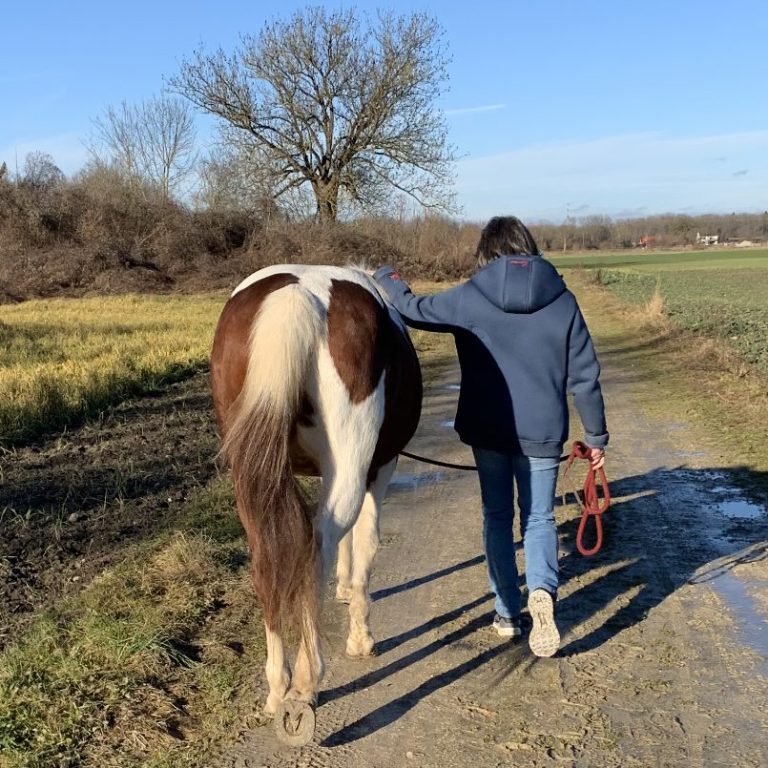 braun-weiß geschecktes Pferd und eine Frau laufen nebeneinander auf einem Feldweg