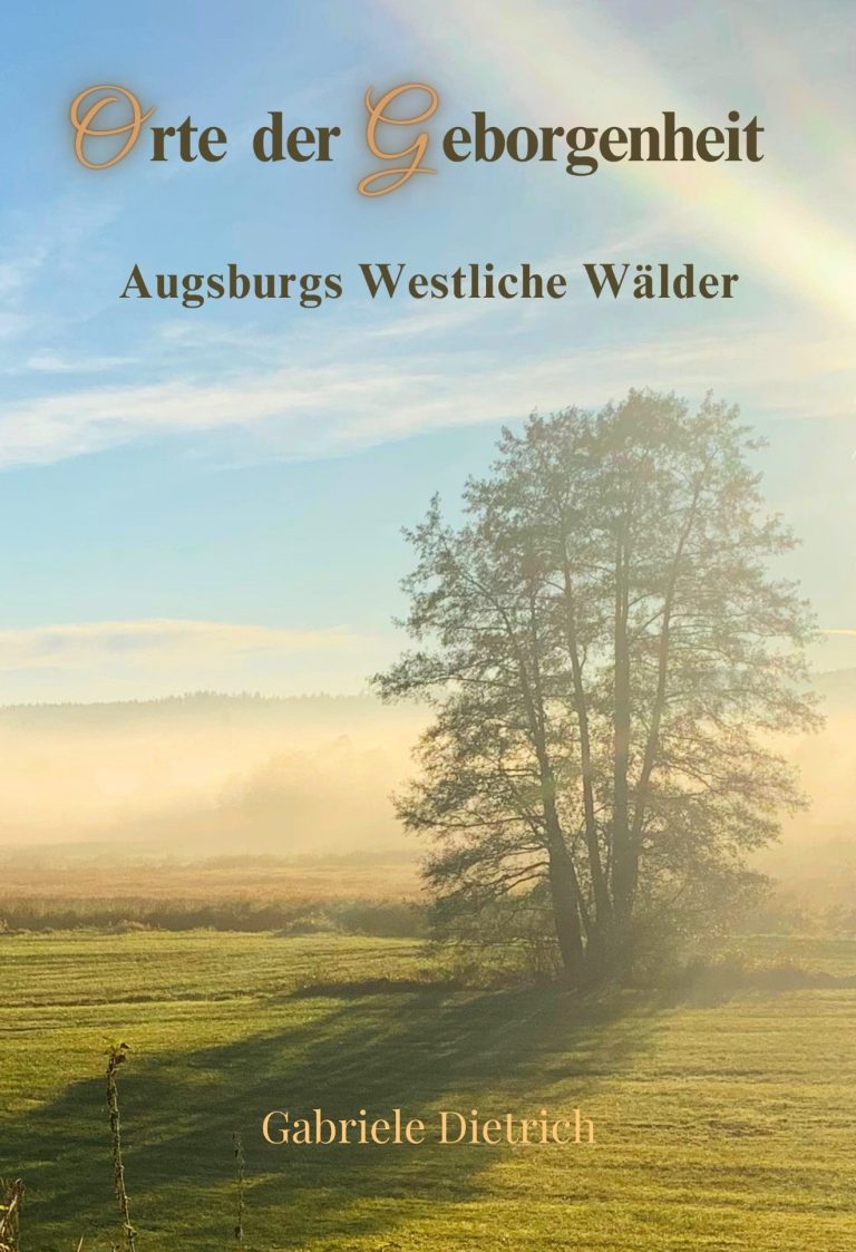 Baum und Wiese im Morgennebel