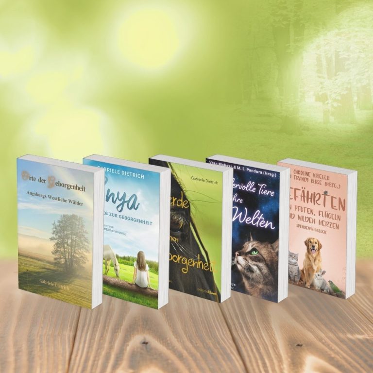 Cover Buchwelt Cover meiner Bücher und Geschichten